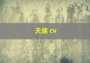 天结 cv